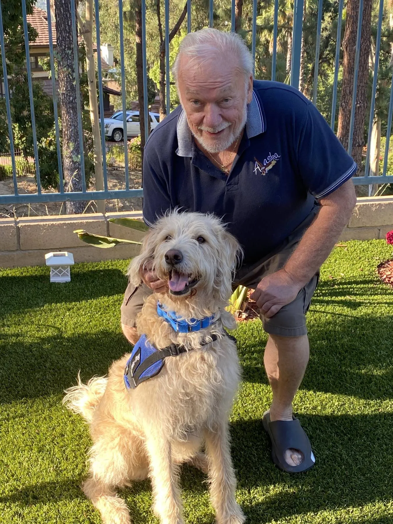 Joe and Kasey share a tender moment, symbolizing the profound bond in great working dog stories between a veteran and his service dog.
