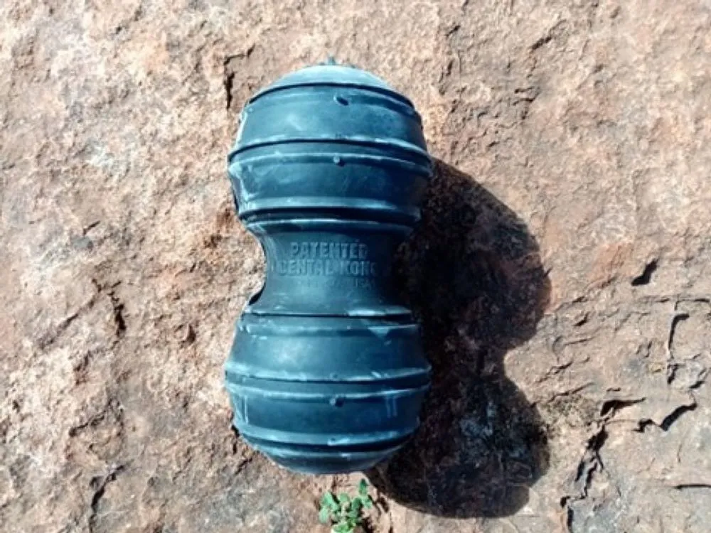 Kong Extreme Dental Large Size