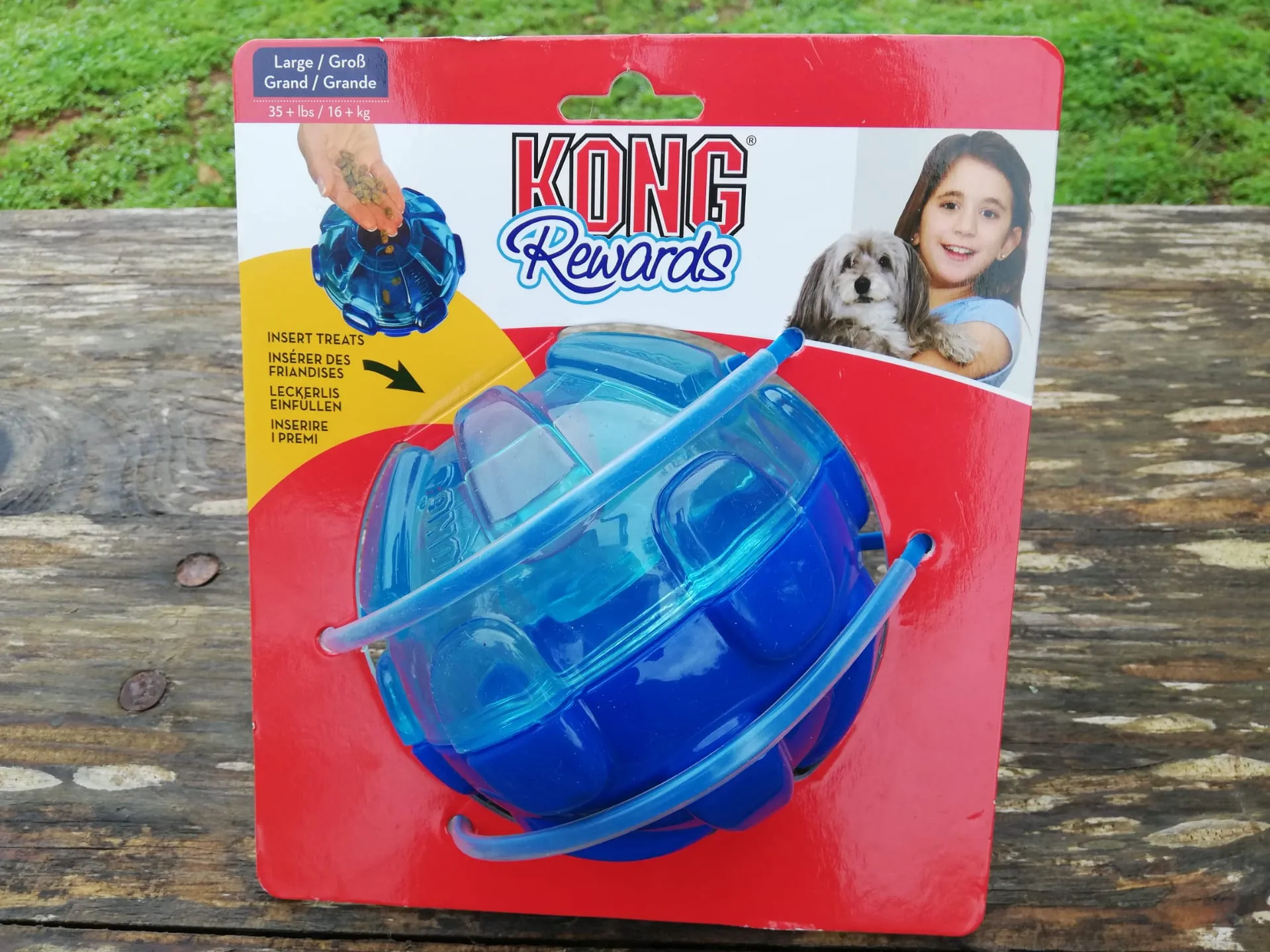 Kong Rewards Ball, an ultra-durable interactive treat dispensing dog toy, shown in context for review.