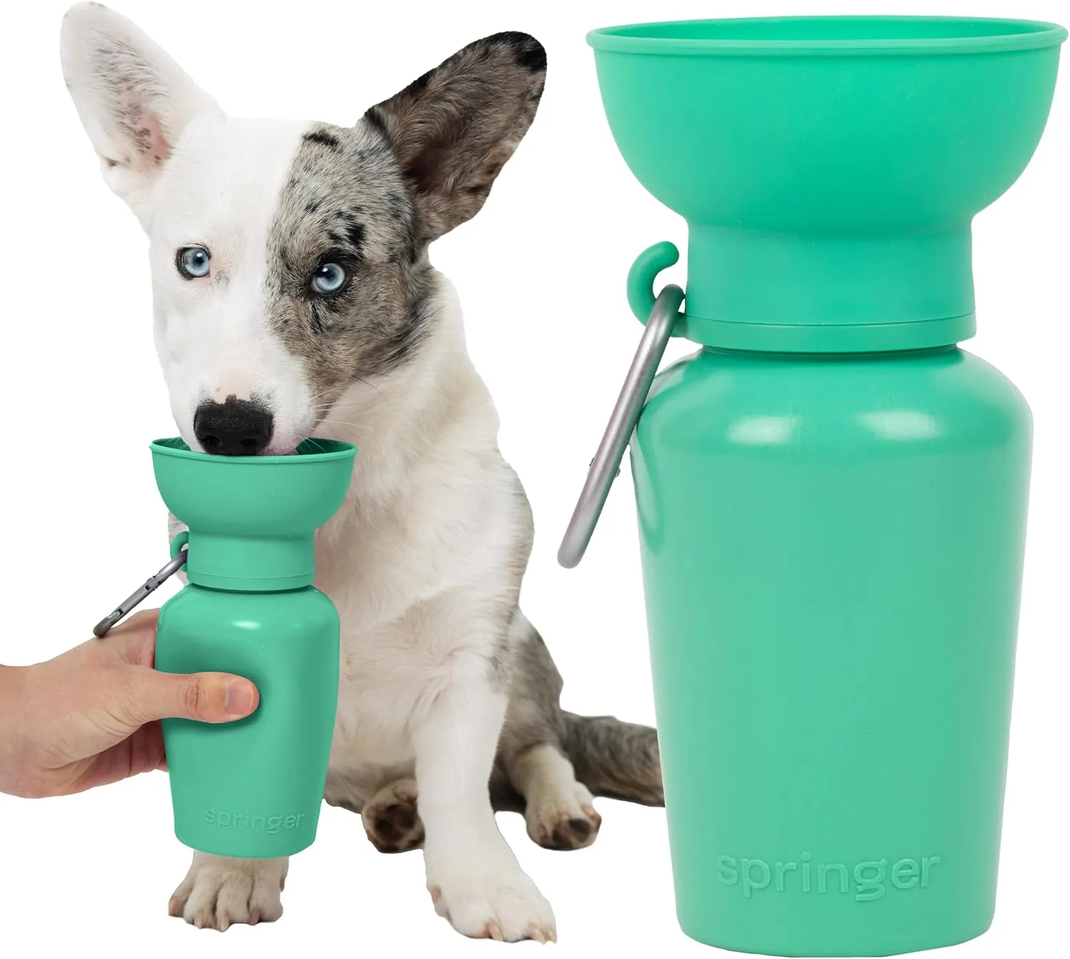 Leak-proof Springer dog travel water bottle in a vibrant color, showcasing its innovative squeeze-to-fill design