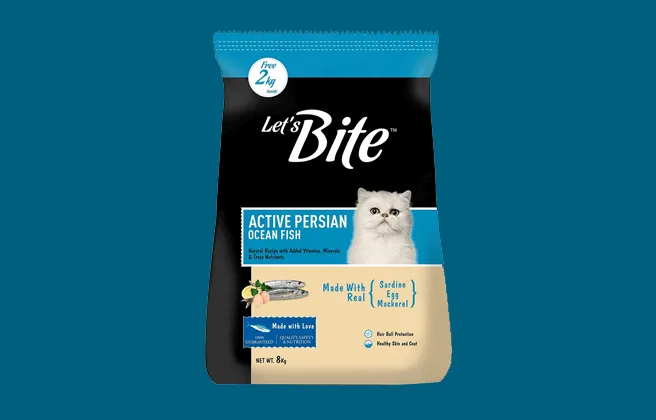 Let's Bite Active Persian Dry Adult Cat Food With Ocean Fish