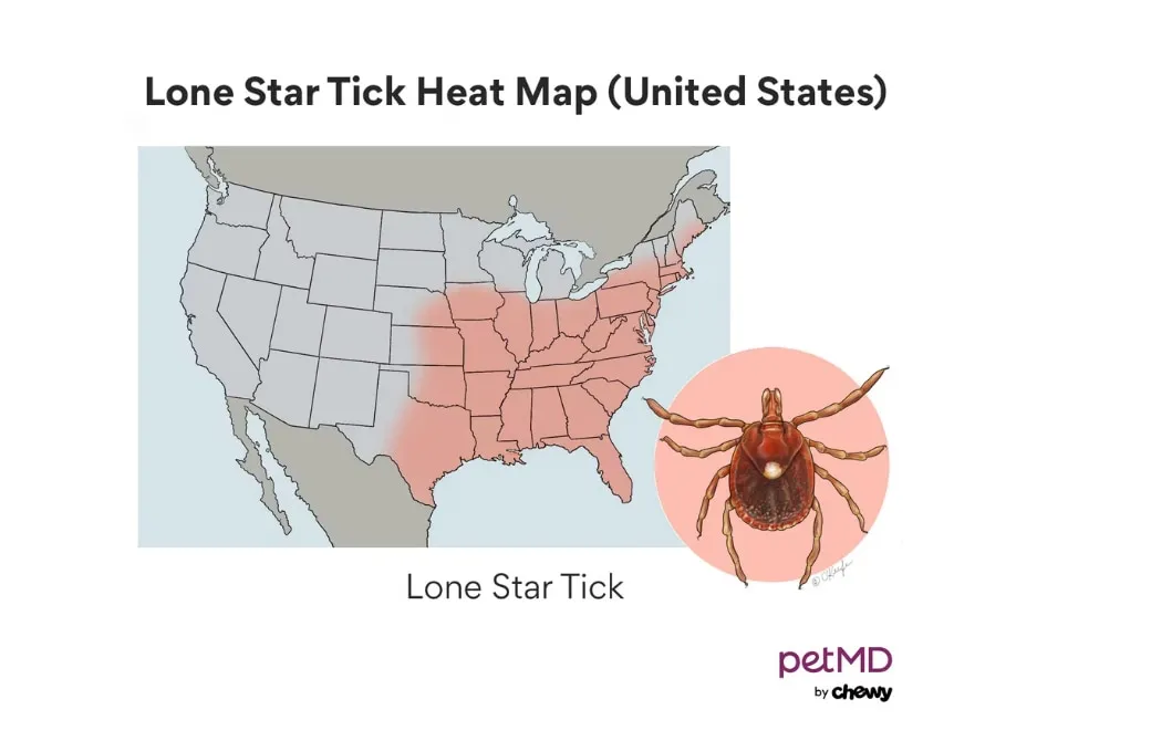 Lone Star tick on a plant stem