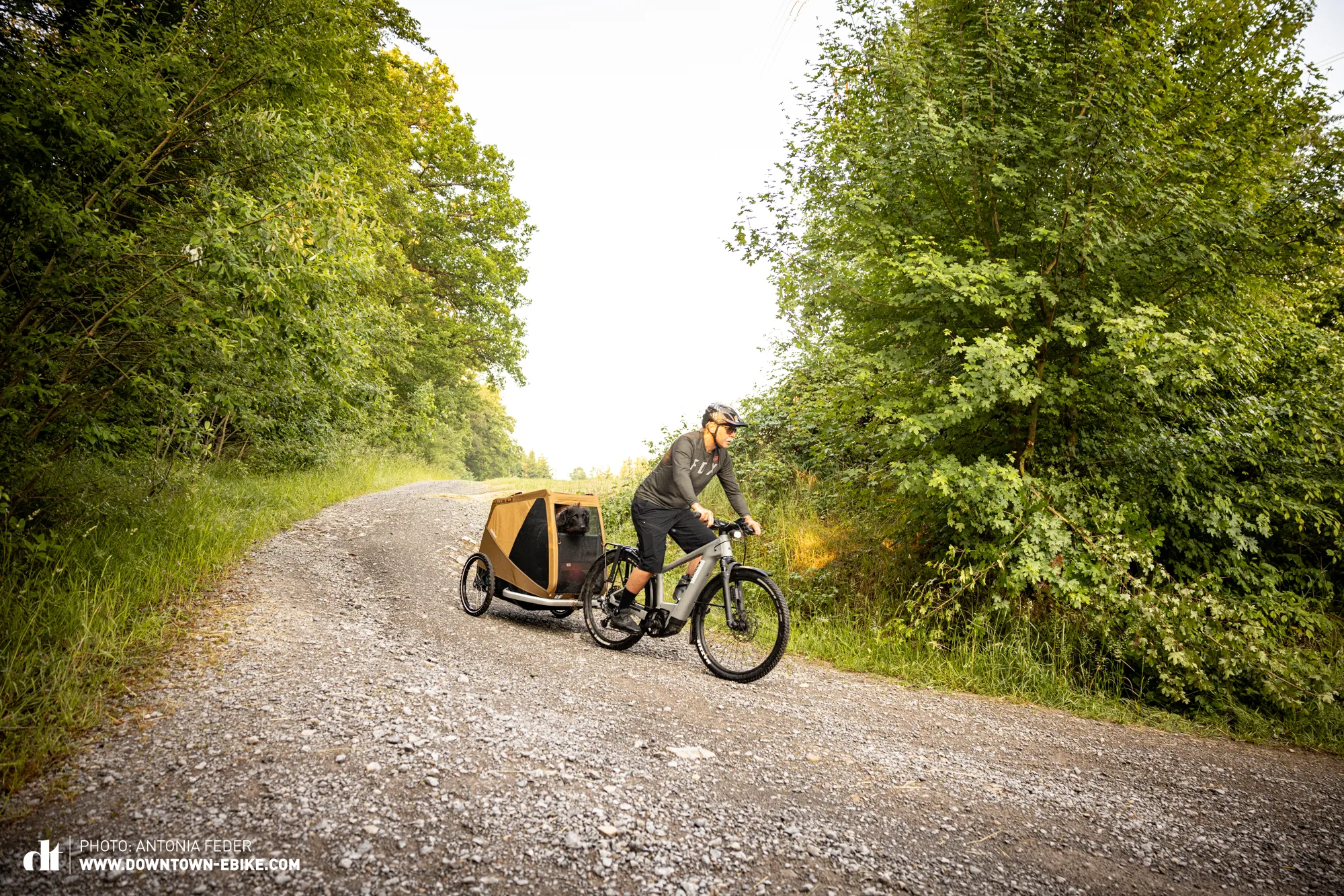 Manne guides his dog bike trailer around a bend on a gravel path in the forest.