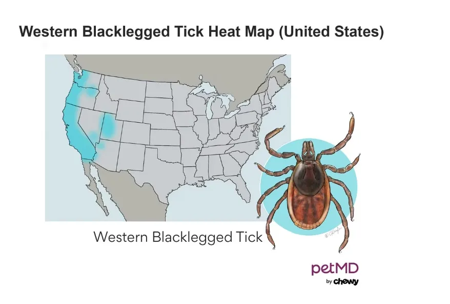 Map showing high-risk areas for tick exposure