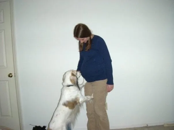 Maya the gentle dog carefully sniffing Lorelei, showing her acceptance of new family members