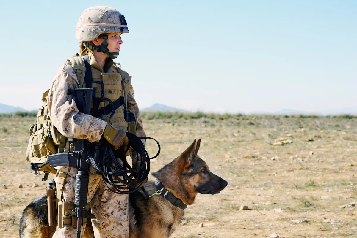 Megan Leavey, portrayed by Kate Mara, and her K9 partner Rex, a bomb-sniffing dog, looking determinedly into the distance, showcasing their unbreakable bond in this compelling dog movie true story.