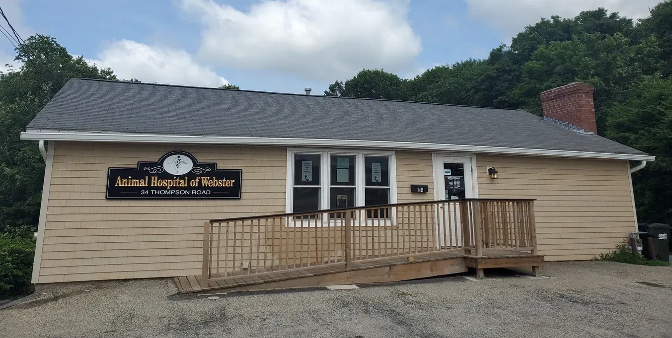 Modern exterior of the Animal Hospital of Webster, showcasing a welcoming and professional environment for pet owners and their companions.