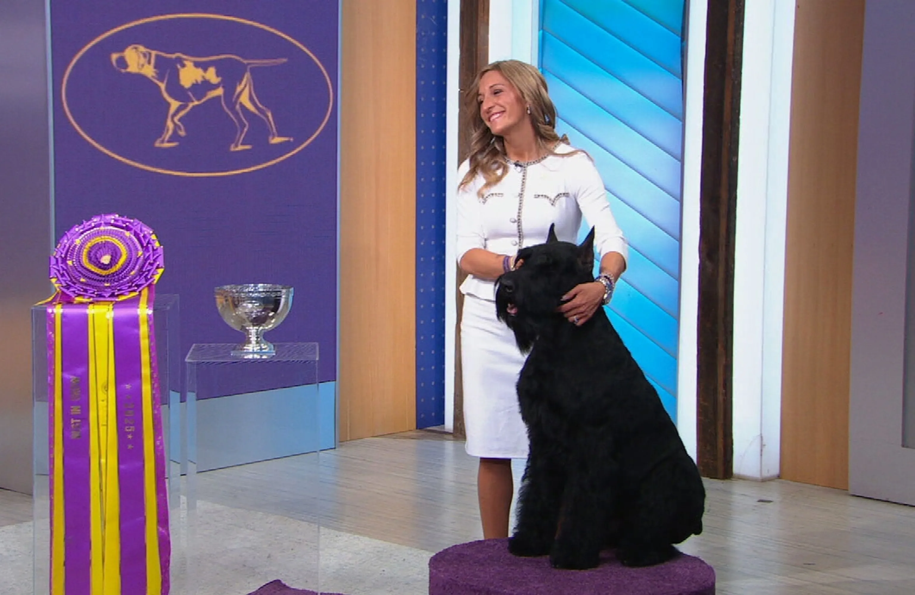 Monty the Giant Schnauzer, Westminster Best in Show winner, with owner Katie Bernardin on Good Morning America