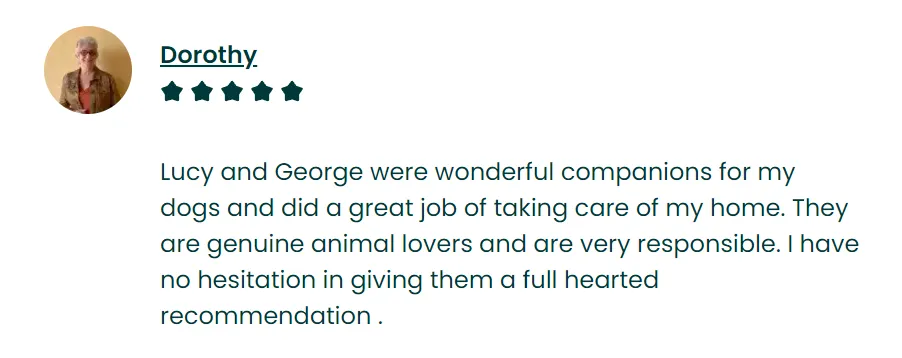 My first review on TrustedHousesitters from a woman with her two dogs in Mexico