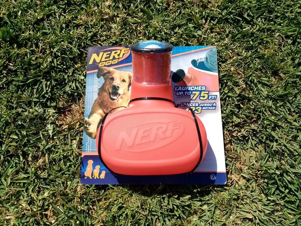 Nerf Dog Stomp Launcher in action with a dog in the water