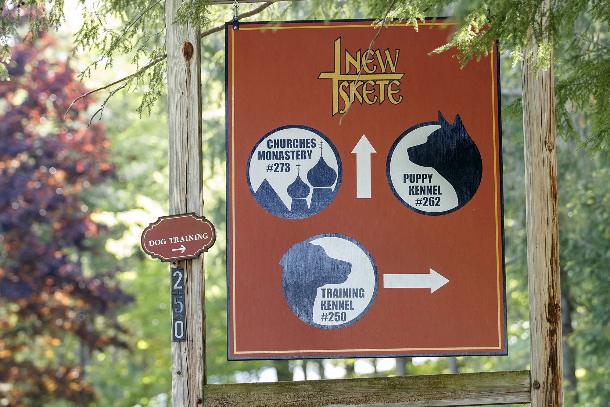 New Skete monks with German Shepherd puppies, highlighting their breeding program.