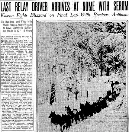 Newspaper headline announcing Balto's arrival with the serum in Nome in February 1925