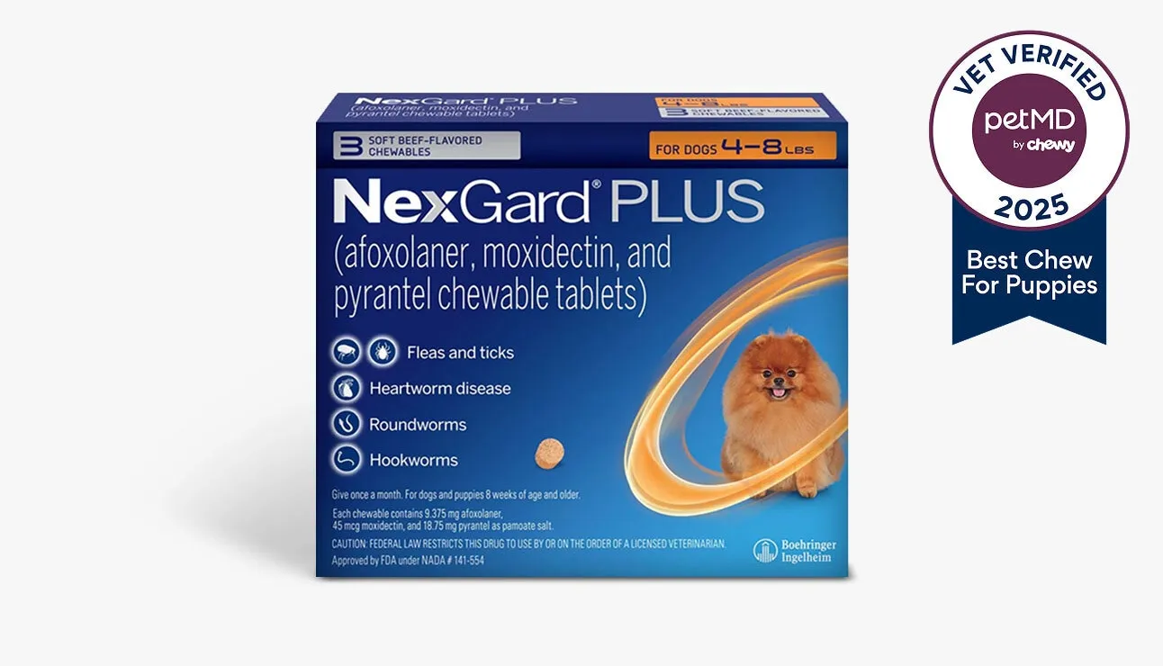 NexGard PLUS vet-verified chewable for puppy flea and tick prevention