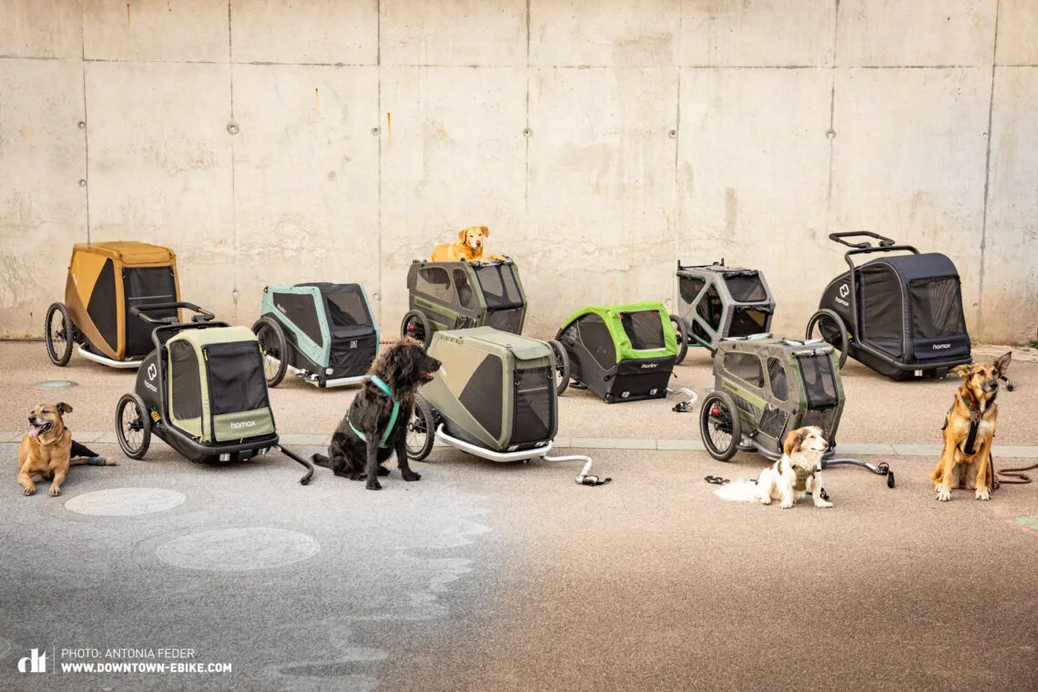 Nine diverse dog bike trailers tested in a park, each carrying a happy dog.