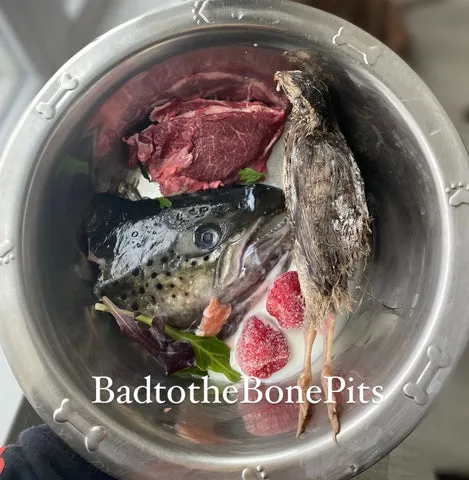 Nutrient-rich raw meal for Pitbull featuring salmon head, quail, beef cheek, and berries