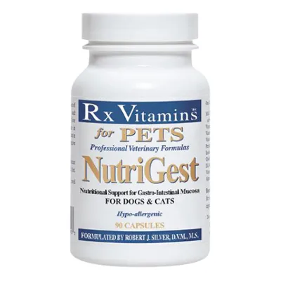 Nutrigest capsules, a supplement combining probiotics and glutamine for managing dog diarrhea and gut inflammation
