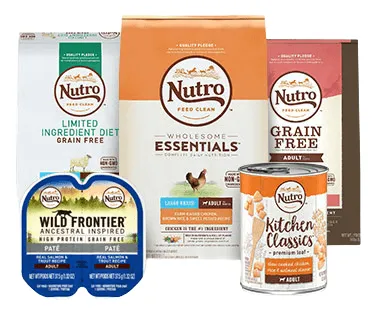 Nutro Dog Food Sub-Brands Review