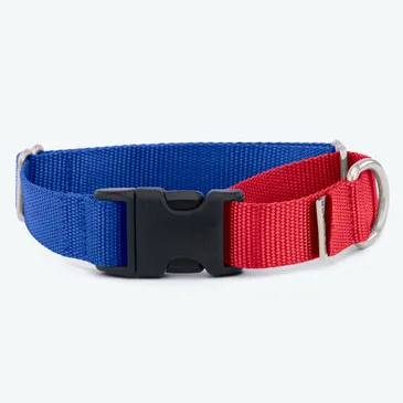 Olive green webbing martingale dog collar designed for training and control.
