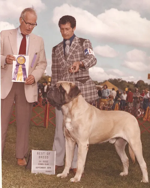 One of Deer Run's most influential dogs, Ch. Deer Run Wycliff, shown here by the late Vic Capone.
