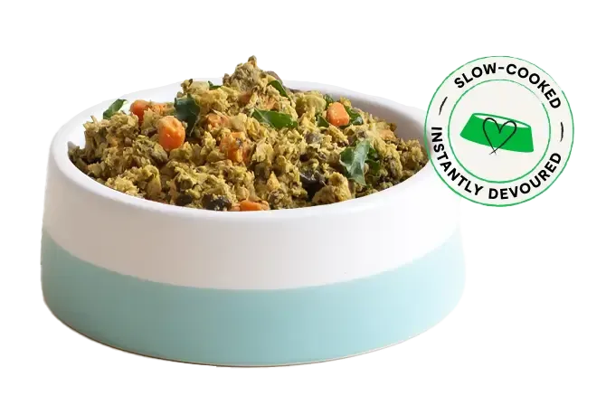 Open Farm Freshly Crafted Dog Food Review (Fresh)