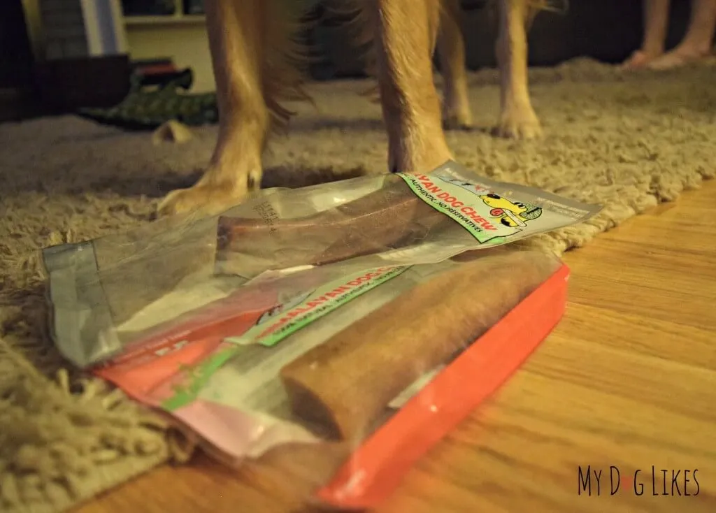 Our Samples of Himalayan Dog Chews