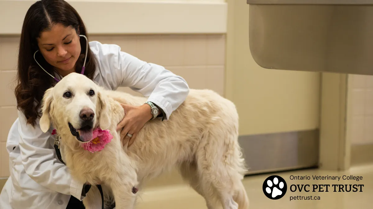 OVC Pet Trust emblem, symbolizing dedication to companion animal health and supporting pet trust hospitals through research and memorial programs