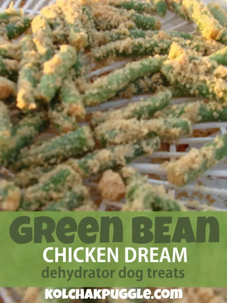 Oven-dried green bean and chicken treats, crunchy homemade dehydrated dog snacks