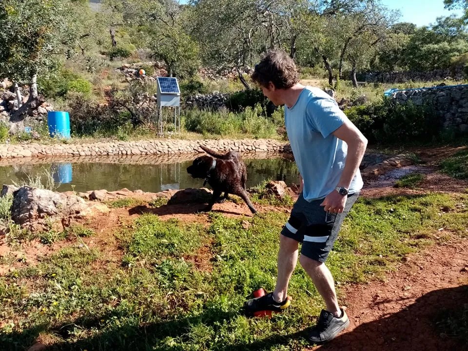 Person aiming the Nerf Dog Stomp Launcher towards water, dog waiting