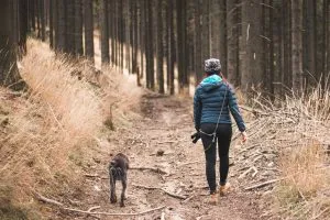 Person hiking with an older dog in a forest setting.