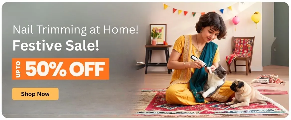 Person using a dog nail grinder on a dog's paw