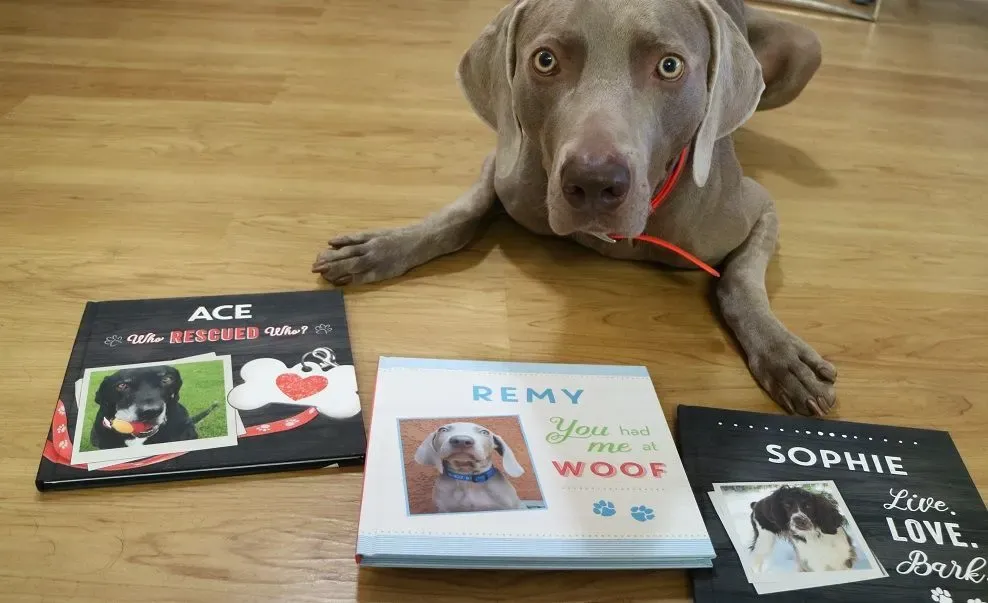 Personalized dog book for adults featuring a happy dog's photo