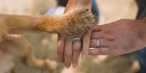 Pet owner interacting with a dog in a veterinary clinic waiting area