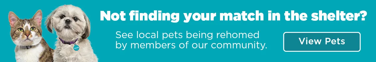 Pet rehoming graphic