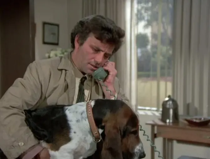 Peter Falk as Columbo with his loyal Basset Hound "Dog" by his side, a memorable duo from the TV series.