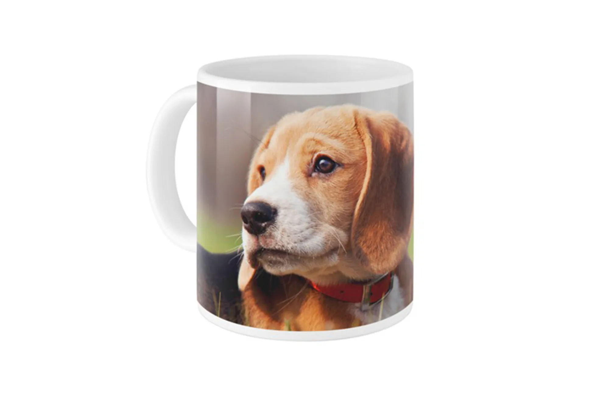 Pets Photo Gallery Mug