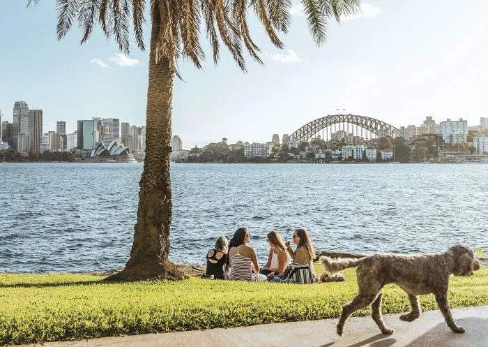 Picnic at Cremorne Point, Cremorne