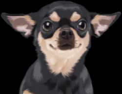 Playful cartoon cat looking healthy after a visit to an urgent vet