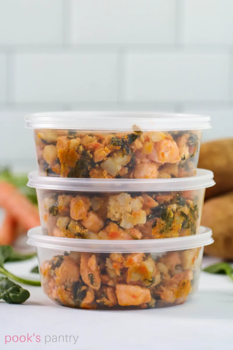 Portioned homemade salmon dog food stored in containers, showing meal prep for easy feeding and storage.