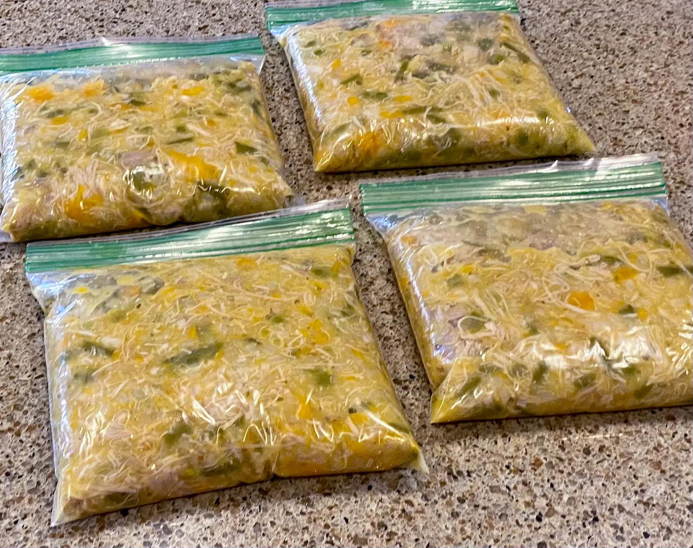 Portioned Instant Pot chicken and rice for dogs frozen in reusable plastic containers for meal prep