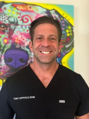 Professional headshot of Dr. Tony Ioppolo, a male veterinarian