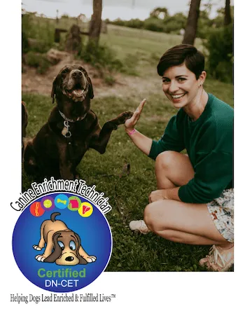 Promotional banner for a dog enrichment mental activity pack, featuring a happy dog with toys.