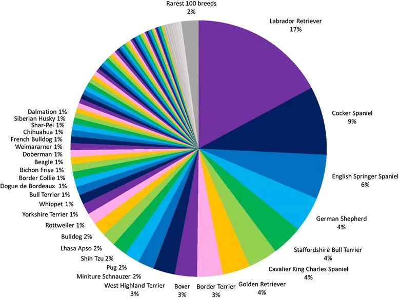 Proportion of purebred UK Kennel Club registered dogs (2003-2013)