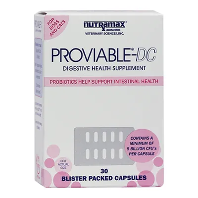 Proviable DC Capsules box for canine digestive health