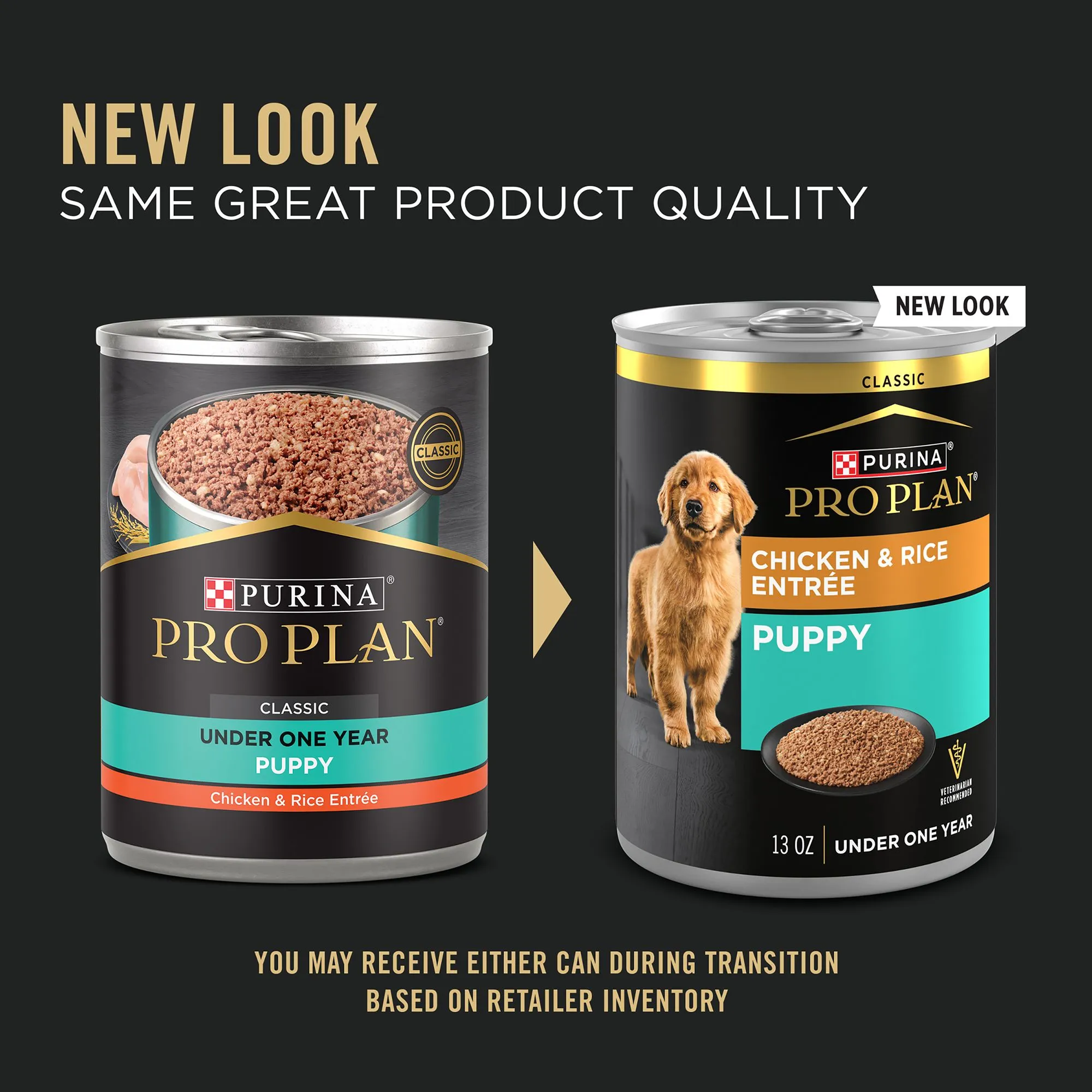 Puppy eating Purina Pro Plan Wet Food