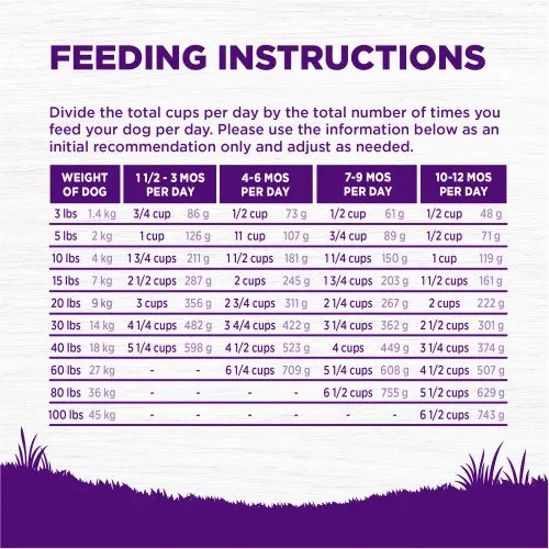 Puppy feeding guidelines table showing daily portion sizes by weight and age, along with special instructions for pregnant and nursing dogs.