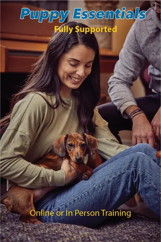 Puppy training to leave a treat alone