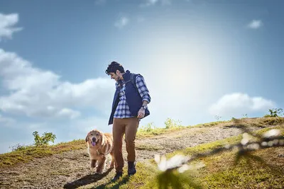 Purina Pro Plan Joint Care supplement for dogs, showing soft chews designed to support mobility and healthy joints