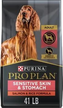 Purina Pro Plan Sensitive Skin & Stomach kibble in a bowl, a common recommendation for dogs with digestive issues.