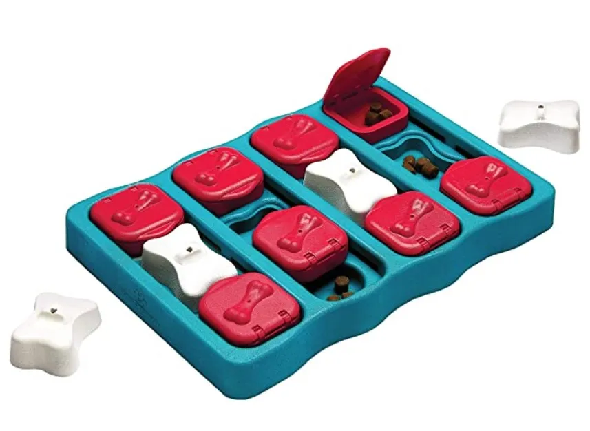 puzzle toy for dog