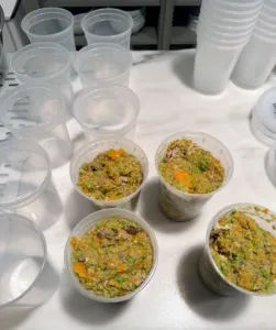 Quart-sized containers filled with homemade dog food
